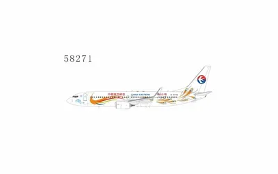 中国東方航空 ボーイング 737-800 w/ Winglets B-5796