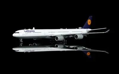 ルフトハンザ航空 エアバス A340-600 D-AIHX 画像1