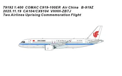 Air China COMAC C919 B-919Z 1:400 Panda Model